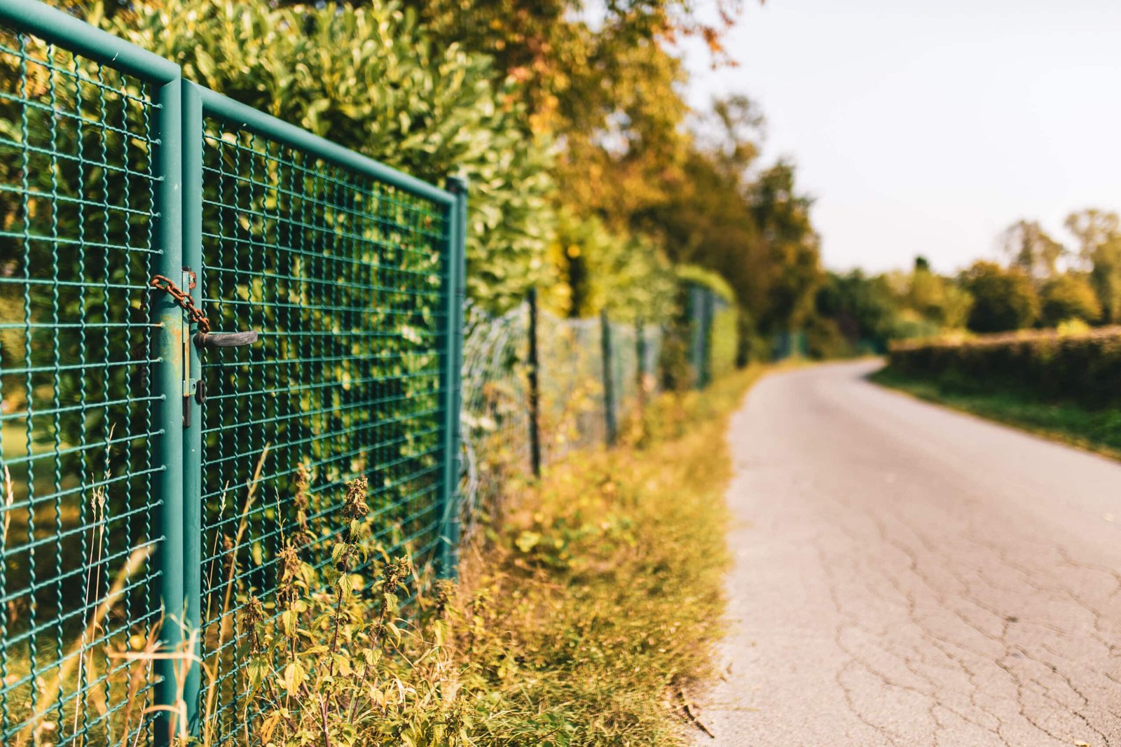 Green metal wire fence with lock surrounded by bushes along a rural roadside